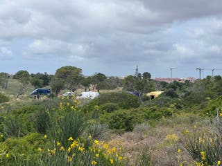 Police picked up a tent in the search search section
